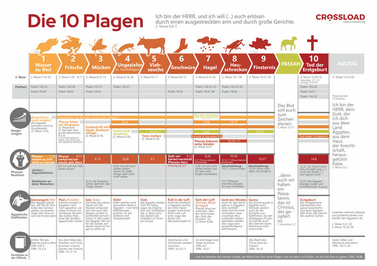 Daniel Pfleiderer - Die 10 Plagen in Aegypten - U1OFxJ0yBQ