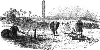 Abb. 3: Ägyptische Egg-Maschine. Nach Wilkinson