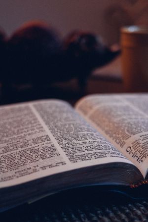 Unruheherd Nahost im Licht der Bibel