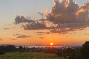 Das Gleichnis von den Arbeitern im Weinberg