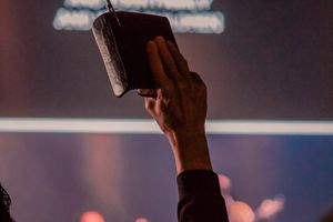 Die DNA der Gemeinde: Textauslegendes Predigen und Biblische Theologie