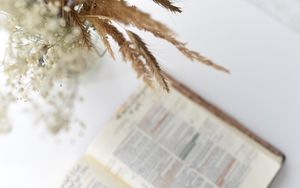 Bibelarbeit über Hosea 4-12