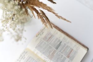 Bibelarbeit über Hosea 4-12