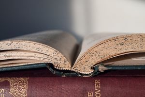 Einführung in das Buch Obadja, Teil 2/2