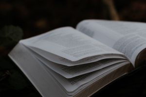 Gegen die Verfälschung des Evangeliums