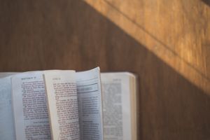 Eine Übersicht über die Bücher des Neuen Testaments (NT)