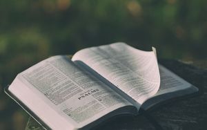 Deine Bibel – Übersetzt oder Übertragen?