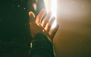 Das Leben im Licht