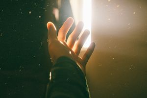 Das Leben im Licht