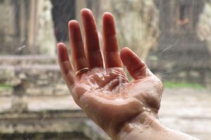 Geheiligt an Geist, Seele und Leib