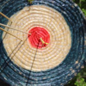 Die Stolpersteine in der Gemeinde