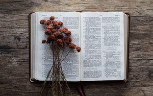 Gott kommt in Macht und Armut