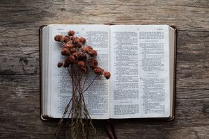 Gott kommt in Macht und Armut