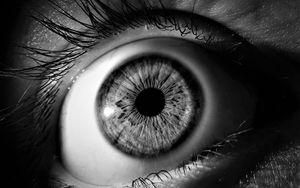 Kuck' auf Deine Augen!