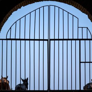 Das offene Tor am himmlischen Heiligtum