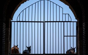 Das offene Tor am himmlischen Heiligtum