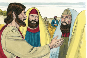 Bibel Illustrationen - Matthäus 12
