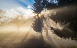Licht bricht sich Bahn