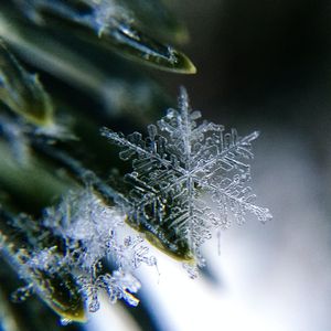 Klein - aber enorm wirksam