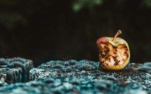 Der Antichrist und seine Vorläufer
