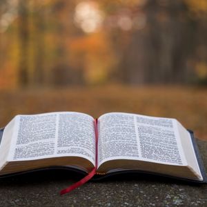 Die Bibel