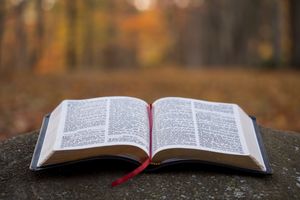 Die Bibel