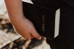Die Aufnahme des Wortes Gottes