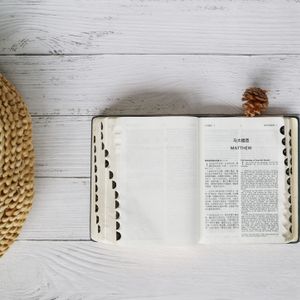 Die Bibel in der Vogelschau - Die 7 Bündnisse und die 7 Heilszeitalter - Einführung ins Studium der biblischen Prophetie