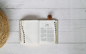 Die Bibel in der Vogelschau - Die 7 Bündnisse und die 7 Heilszeitalter - Einführung ins Studium der biblischen Prophetie