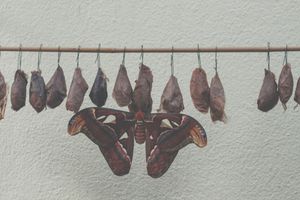 Noch einmal anfangen