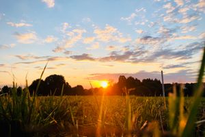 "Wie die Sonne aufgeht in ihrer Macht" - Debora