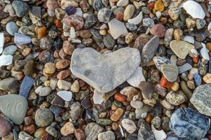 Liebe im Neuen Bund (1/10)