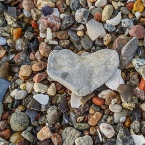 Liebe im Neuen Bund (4/10)