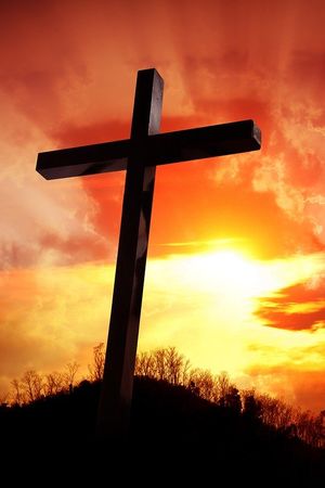 Jesus: Unsere einzige Hoffnung - Unser Friede - Unser König