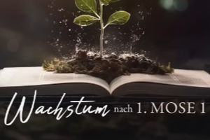 Wie du nach 1. Mose 1 geistlich wachsen kannst