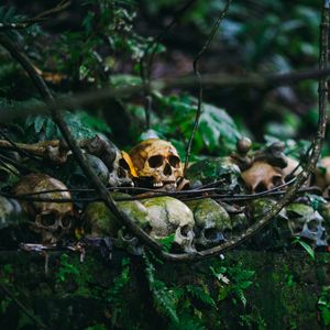 Stammesreligionen im Licht der Bibel