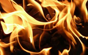 Was darf Dich Deine Jesus-Nachfolge kosten? Gott braucht einsatzbereite Menschen – und Du kannst einer davon sein!