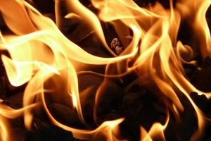 Was darf Dich Deine Jesus-Nachfolge kosten? Gott braucht einsatzbereite Menschen – und Du kannst einer davon sein!
