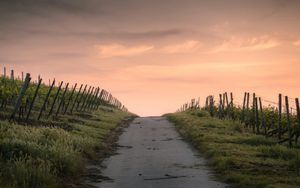 Der gute Weg
