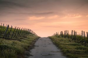 Der gute Weg