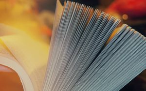 Das Buch Esther - Der Konflikt zwischen Fleisch und Geist