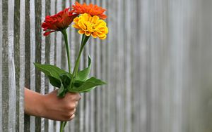 Selbstlosigkeit statt gewollte Anerkennung