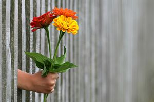 Selbstlosigkeit statt gewollte Anerkennung