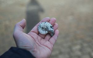 Biblische Archäologie in der Ir-David