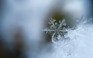 Bewegung. Die Starre überwinden?