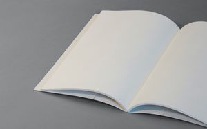Vom Bibeltext zur Predigt