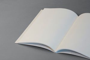 Vom Bibeltext zur Predigt