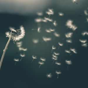 ERfüllt ... und wenn es sich nicht so anfühlt?