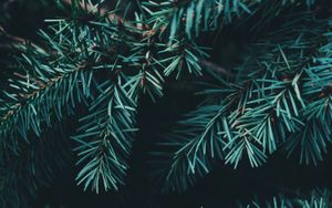 Unromantische Weihnachten
