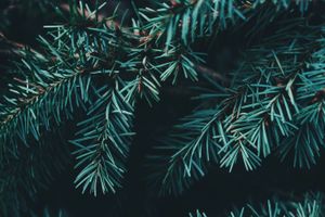 Unromantische Weihnachten
